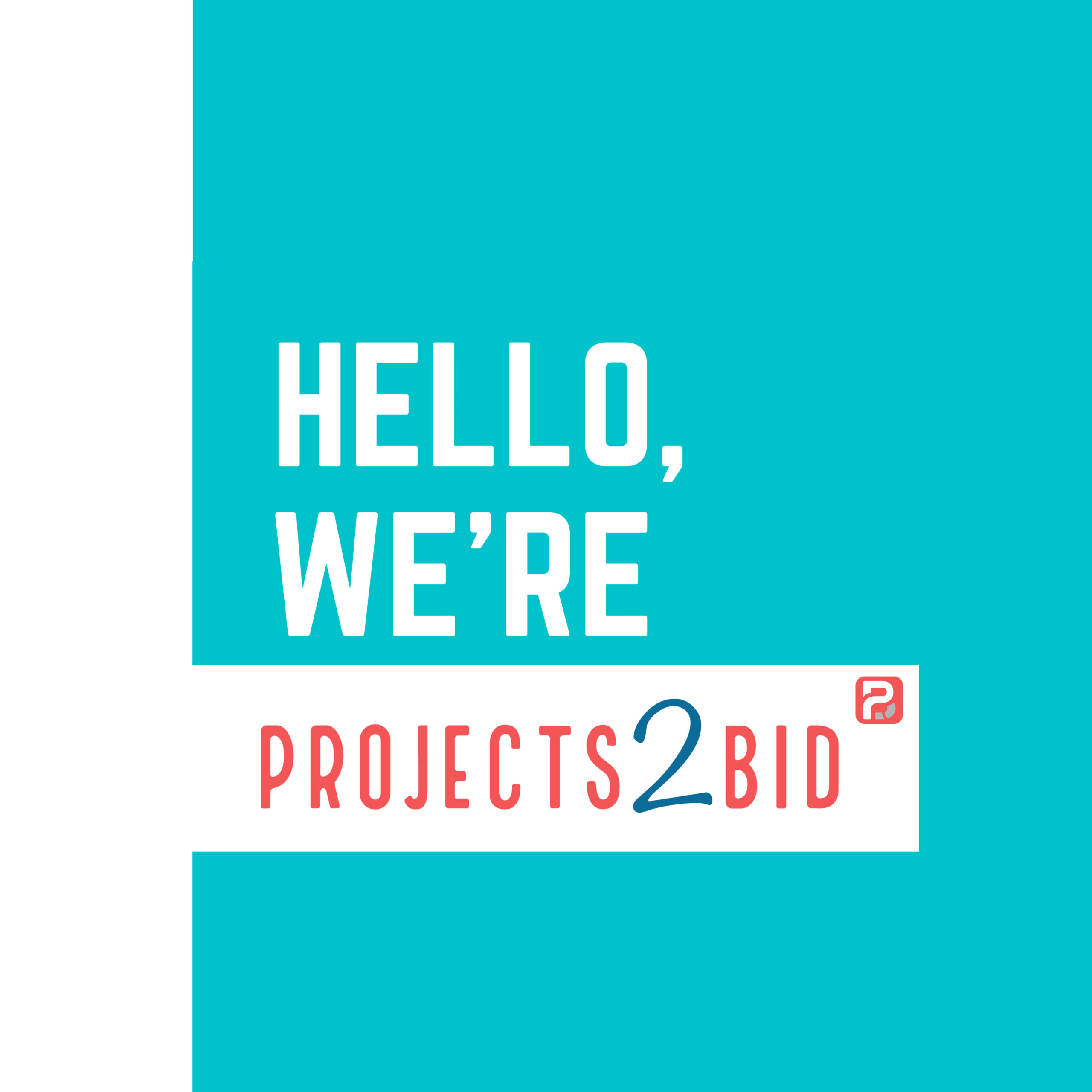 We are projects2bid